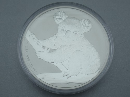 2009 australien koala 1 - koala,