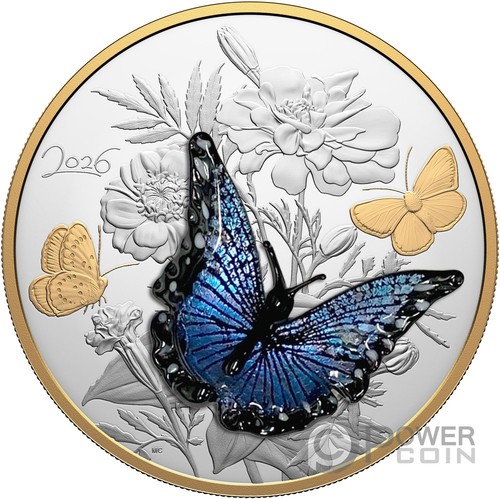 Blue butterfly murano - murano, kg