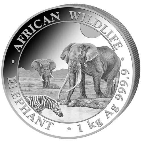 Silbermünze 1kg elefant - silbermünze,