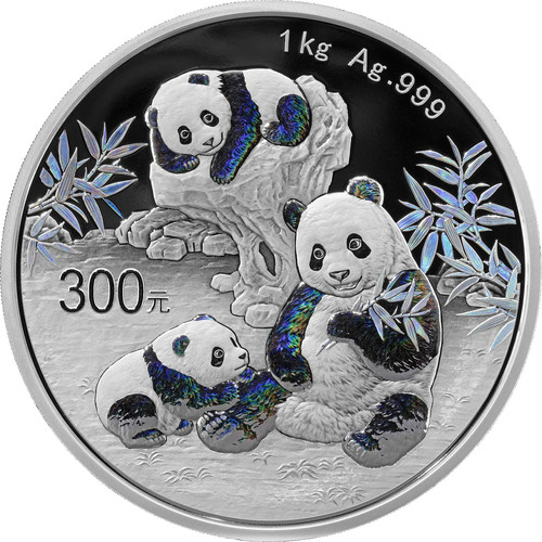 Silber china panda 2025 - china,